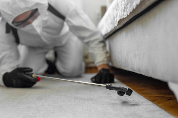 Professional Cockroach Control technician working in Montpelier, VT
