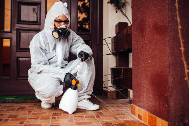Reliable Cockroach Control contractor in Montpelier, VT by Nex Pest Control