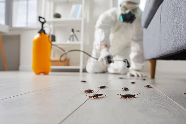Trusted Fumigation Services service in Montpelier, VT - Nex Pest Control