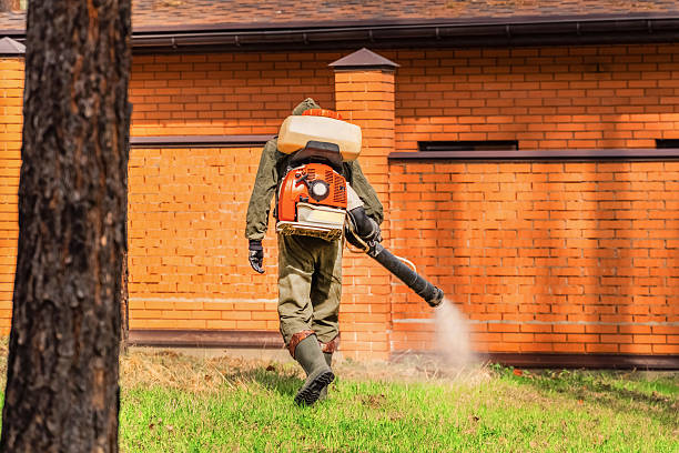 Trusted Bed Bug Control service in Montpelier, VT - Nex Pest Control